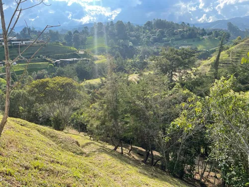 Lote En Venta En El Retiro Vereda Pantanillo. Cod V15613