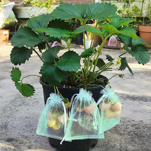 P 100 Bolsas Protectoras De Frutas, Bolsas De Malla Para