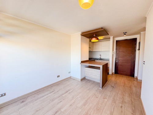 Departamento, Freire · Arriendo $530.000