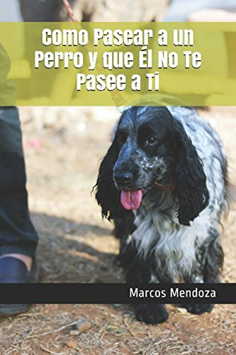 Como Pasear A Un Perro Y Que El No Te Pasee A Ti