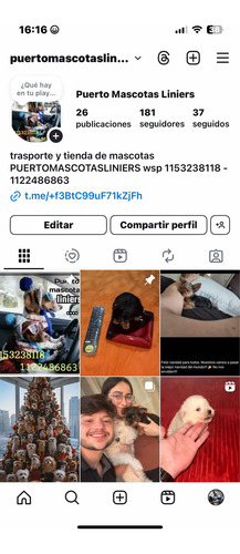 Transporte Y Tienda De Mascotas Puertomascotasliniers