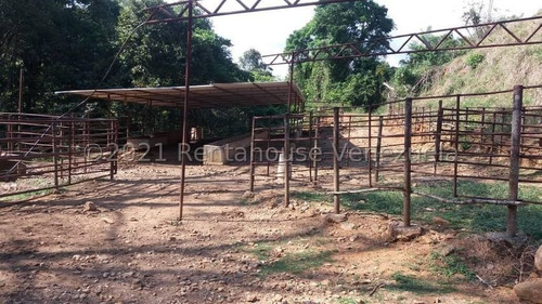 Imagen 13 de 15 de Finca En Venta Tinaquillo Cojedes Gav
