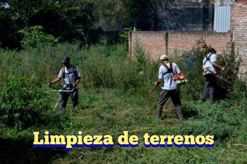 Imagen 5 de 9 de Empresa De Limpieza Jardineria Edificios Mantenimiento