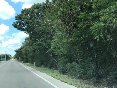 Imagen 8 de 8 de Lotes Residenciales A 15 Minutos De Merida. Con Planes De Financiamiento!