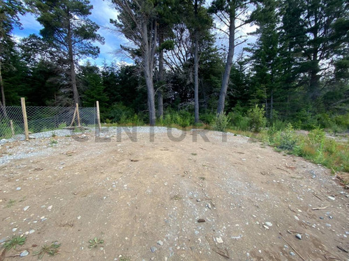 Imagen 10 de 14 de Lote En Venta - Bariloche - Avenida Bustillo Km 21 - Id: 60514
