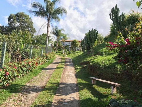 Chácara À Venda, 7000 M² Por R$ 1.390.000,00 - Arataba Ii - Louveira/sp - Ch0419
