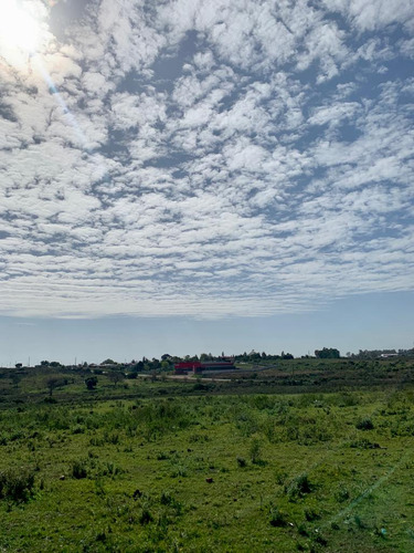 En Venta Chacra En Salto. Ruta 3 ¡atención Inversores Y Empresarios!