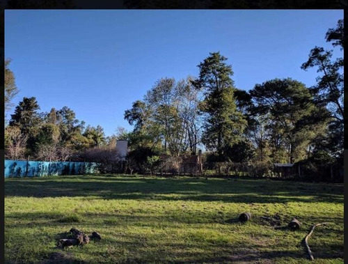 Imagen 1 de 15 de Venta De Lote De 460m2 En Canning, Ezeiza