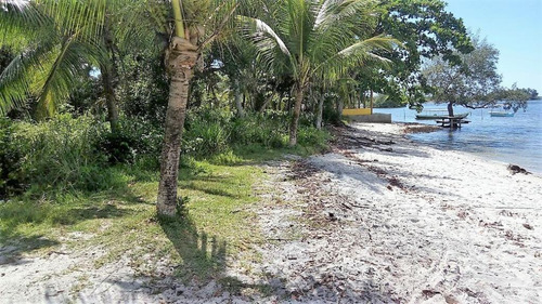Imagem 5 de 21 de Terreno Beira Mar Em Marau - Te0028