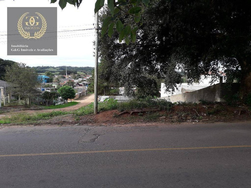 Imagem 5 de 13 de Terreno À Venda, 360 M² Por R$ 96.000 - Vila Elsa - Viamão/rs - Te0170