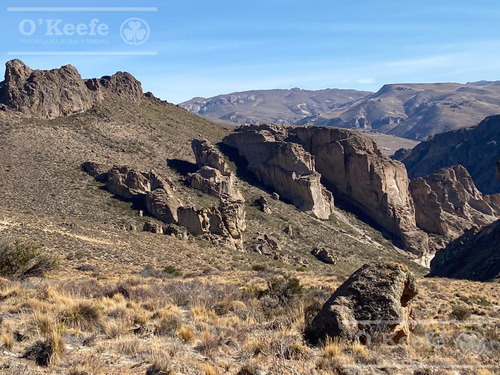 Campo En Venta De 635 Has Bariloche, Costa Del Pichileufu, Rio Negro.