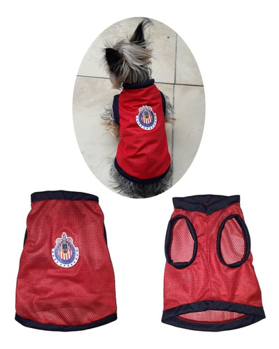 Ropa Jersey Deportivo Mascota Perro Modelo Chivas