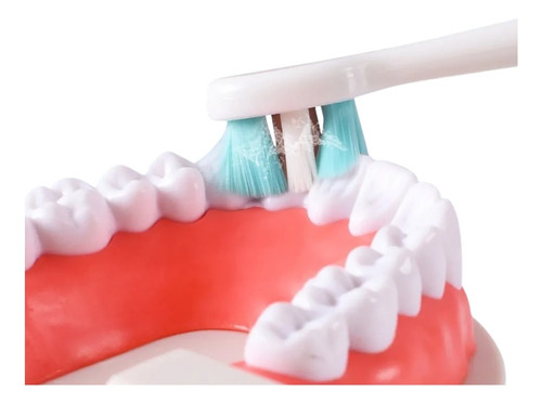 Cepillo Dental Animado Animalitos Infantil Cartoon Toyz Dinosaurio Naranja