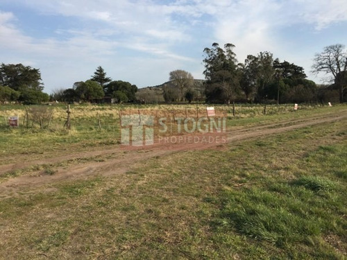 Imagen 2 de 10 de Venta Terrenos En Los Pinos !!