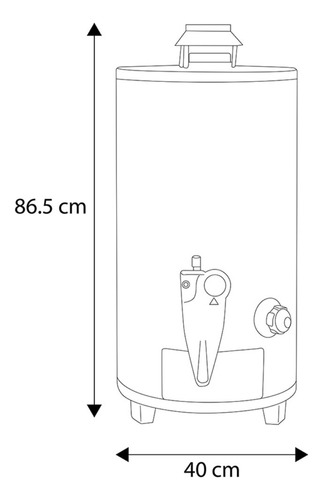 Calentador De Agua Rheem De Alto Rendimiento 48l