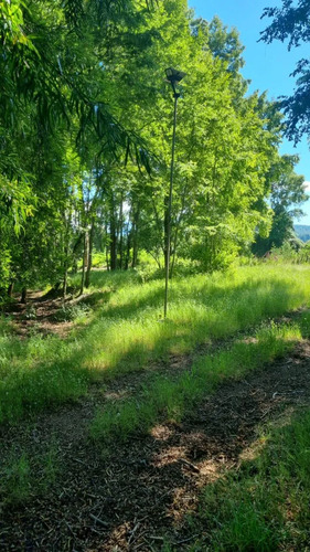 Lanco-panguipulli, Fabuloso Sitio De 5000 Mts2 En Aylin