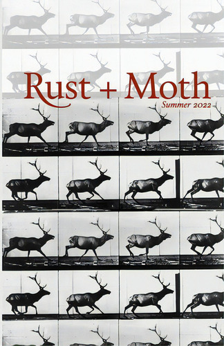 Rust And Moth: Summer 2022, De Hansen, Chelsea. Editorial Lulu Pr, Tapa Blanda En Inglés