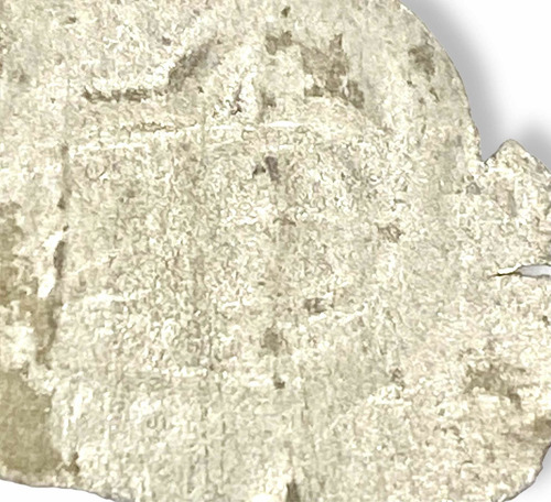 Wow Moneda Medieval Plata Austria Wiener Pfennig Siglo 13 (Usado)