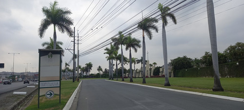 Parque De La Paz Aurora Lote De Terreno Triple Zona 2