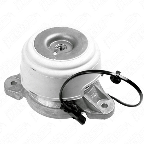 Coxim Motor Mercedes 200 Cdi 2.2 2013-2015 Original