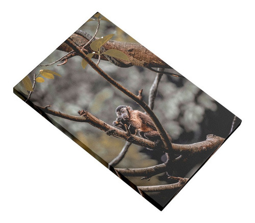 Cuadro Mono Pequeño En Ramas De Árbol Animales 80x120