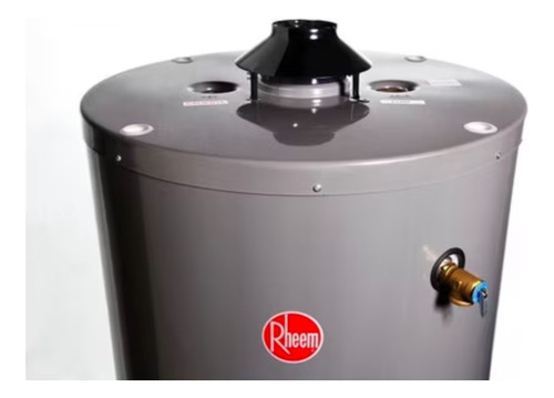 Rheem Termo A Gas Natural 190 Litros