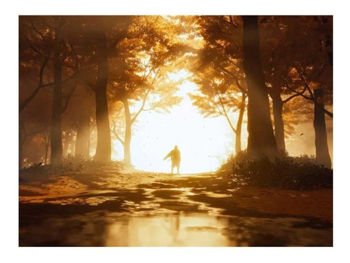 Ghost Of Tsushima Edición Física Estándar Ps4 D (Usado)