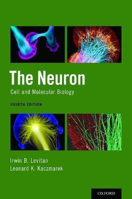 Libro The Neuron : Cell And Molecular Biology