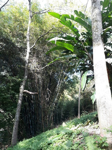 Imagem 6 de 12 de Chacara - Ch00001 - 34962915