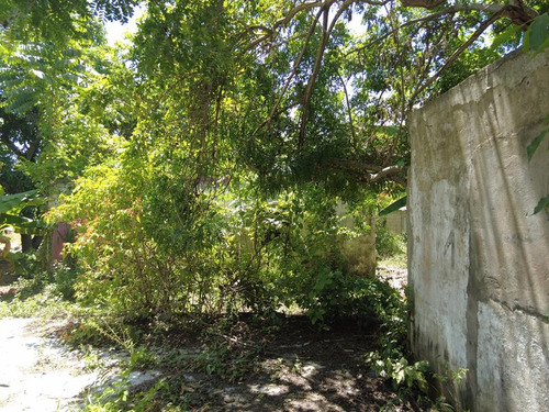 Terreno Venta 457 M² Colonia Manlio Fabio Tuxpan Veracruz
