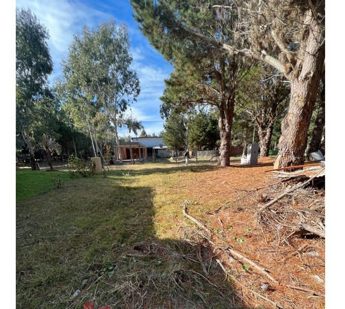 Imagen 8 de 10 de Lote En Venta
