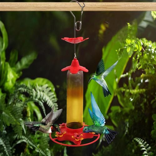 Comedero Para Colibríes, Comedero Automático Resistente