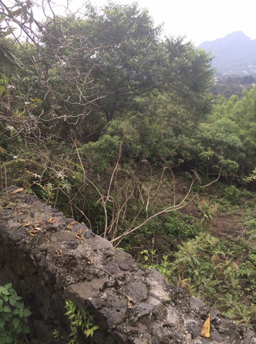 Terreno En Tepoztlan, Morelos