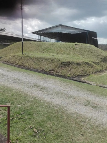 Venta Granja Integral Productiva Avicola Ganadera Y Minera Tinaquillo Edo. Cojedes Negociable Con Financiamiento Jm