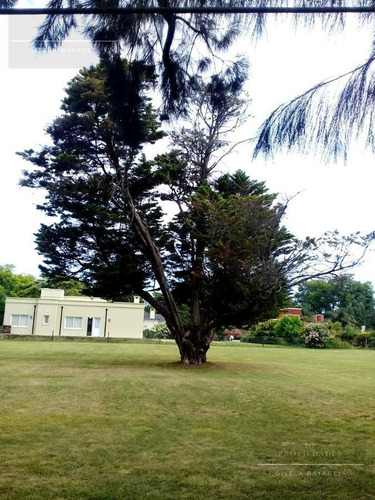 Imagen 6 de 18 de Gb Propiedades- Hermoso Lote En Venta- La Otilia