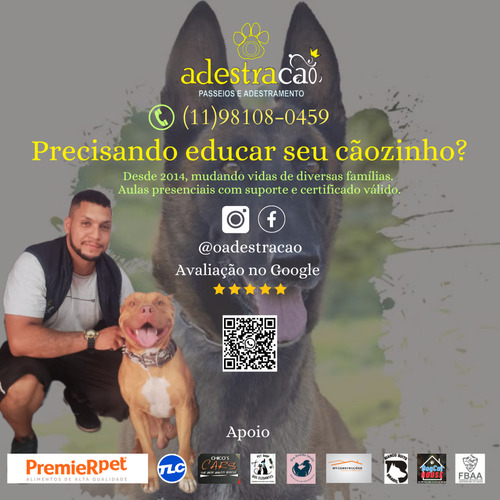 Adestramento De Cães 