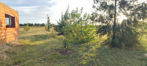 Venta Casa De Campo En Lote De 5000 M2 - San José - E.r.