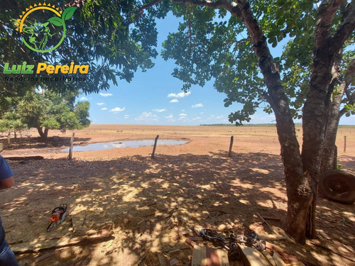 Imagem 12 de 14 de Fazenda À Venda Em Tupiratins - To -n 1.728 Hectares (dupla Aptidão) - 2058