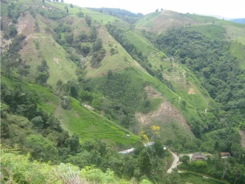 Finca En Vender En Dabeiba