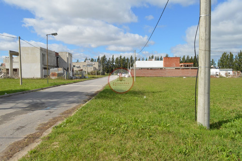 Imagen 20 de 30 de Terreno Lote En Venta Ubicado En Manuel B Gonnet, La Plata