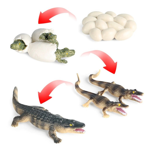 Dinosaurio Jurassic Dinosaurios Esqueleto