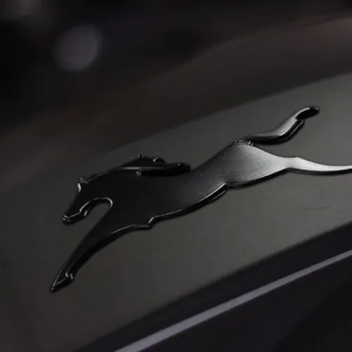 Emblema Tanque Para Apache Rtr 200 Caballo