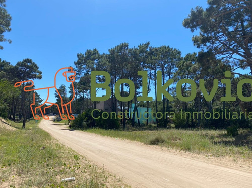 Imagen 3 de 10 de Lote En Venta Pinamar