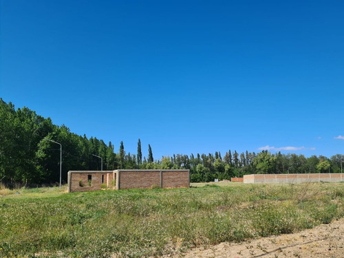 Imagen 5 de 13 de Re/max Vende Terreno En Loteo La Alicia Plottier