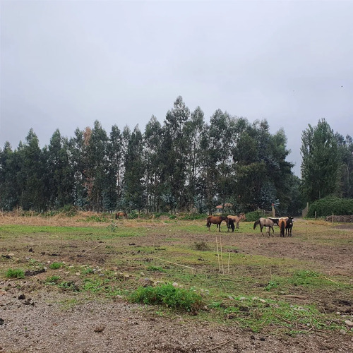 Terreno Construccion  En Venta En San Fernando