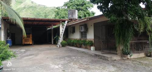 Imagen 16 de 24 de Se Vende Finca En Guayabita Turmero Estado Aragua/yessika Berrios 04249155109
