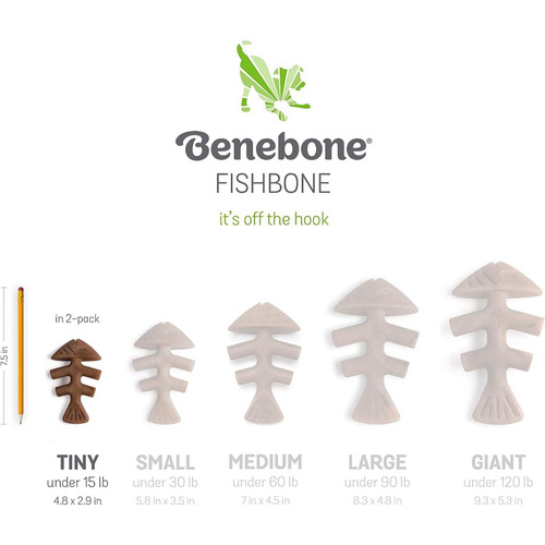 Dientes de perro Benebone Fishbone Puppy Pp Salmon