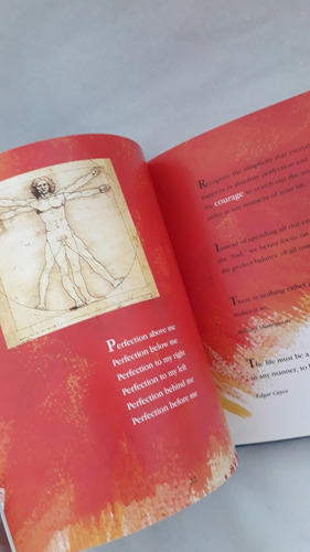 Libro En Inglés Autoayuda Ilustrado The Book Of Courage (Usado)