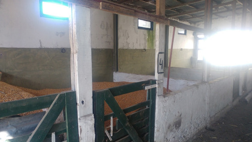 Imagen 11 de 14 de Campo Mixto, Ideal Haras Ptdo Punta Indio