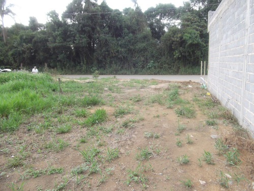 Imagem 6 de 9 de Terreno Comercial Frente Para Asfalto